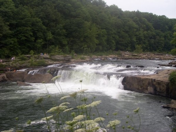 Ohiopyle Falls.