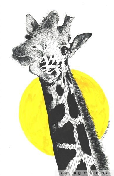 giraffe w/sun