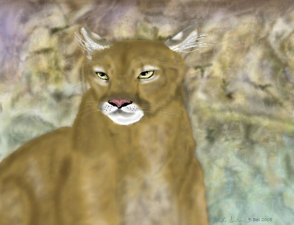Spirit of the Cougar