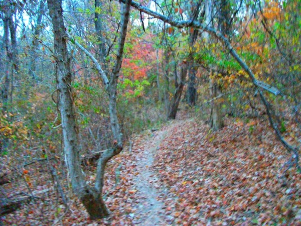 Hiking Right Up The Hill