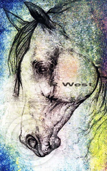 Wild Horse head