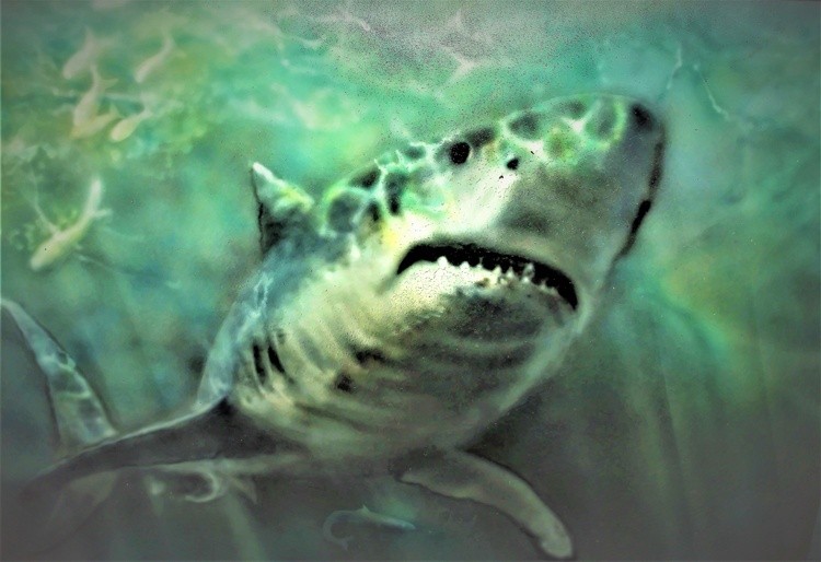 Great White airbrush on  A3 Dibond Panel (1)