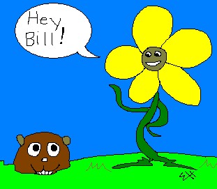 Phil the flower