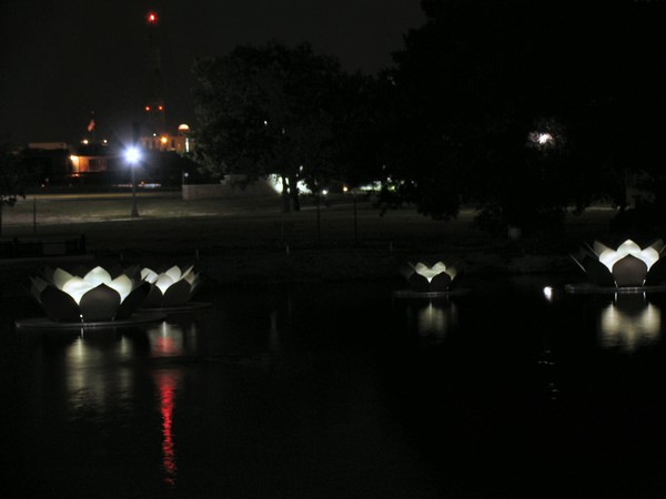 Lilly Pound at Night