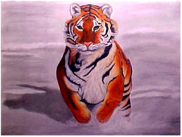 Siberian Tiger