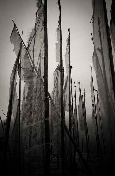 Prayer Flags No. 2