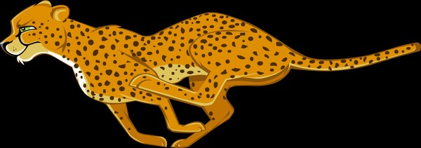 Cheetah ago