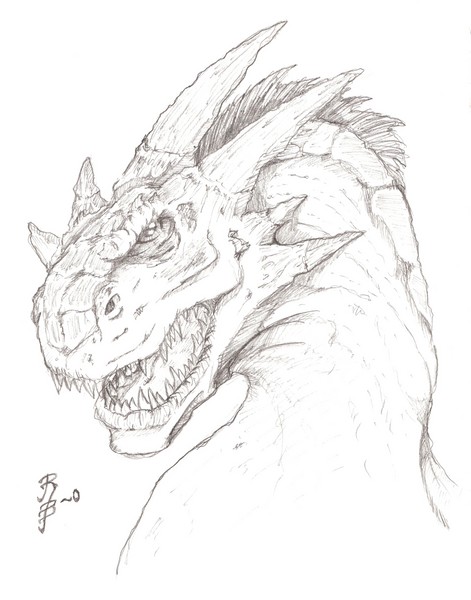Profile of a Dragon