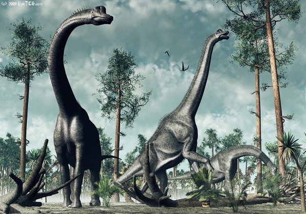 Brachiosaurus - TIME WARS