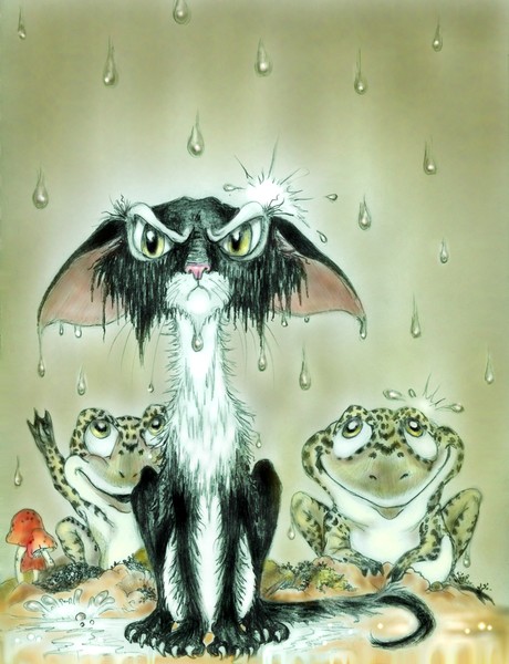 The ANGRY WET CAT!