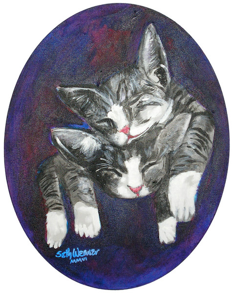 Cuddling Kittens
