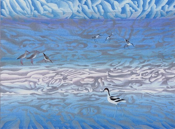 Avocets and Redshanks