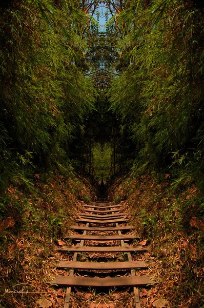 Pathway to Nature I