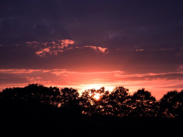 Pink_sunset