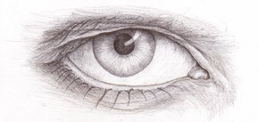 Silverpoint Eye