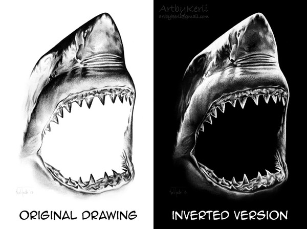 Shark (invert drawing)