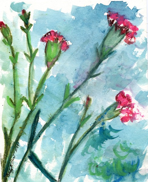 carnations study