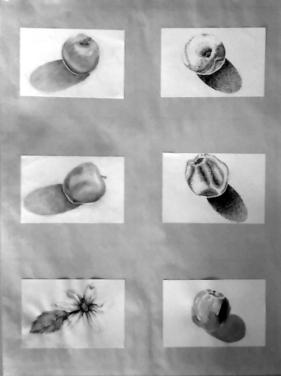 6 Apples Drawing