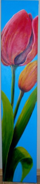 Two Tulips