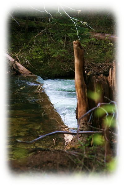 Sunlit Creek