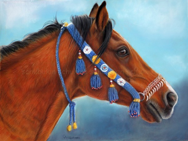 Arabian Horse Portrait