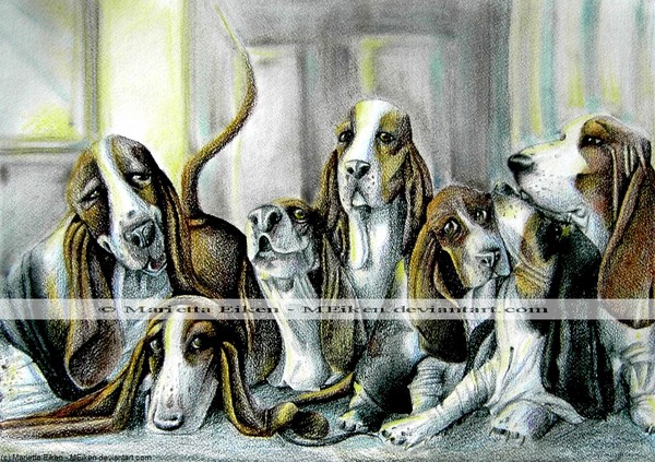 Seven Basset Hounds