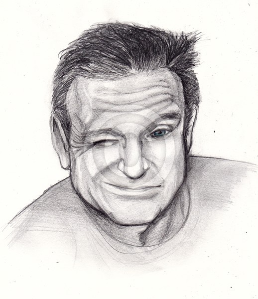 Robin Williams Commission