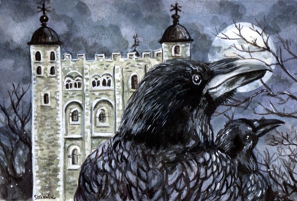Ravens Of The Tower