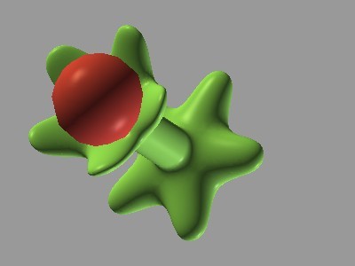 The 3D Flower
