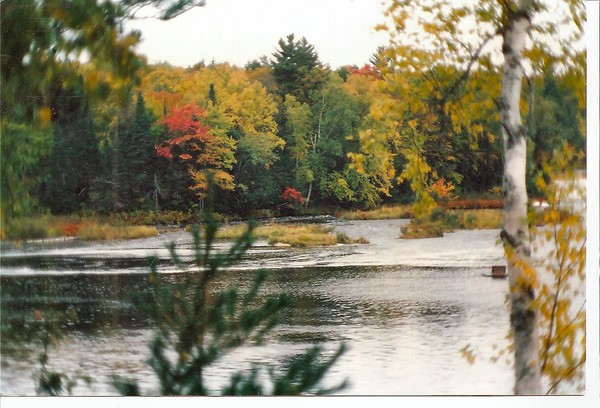 Northern Michigan River