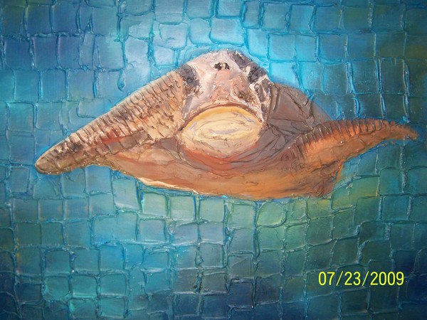 the majestic sea turtle