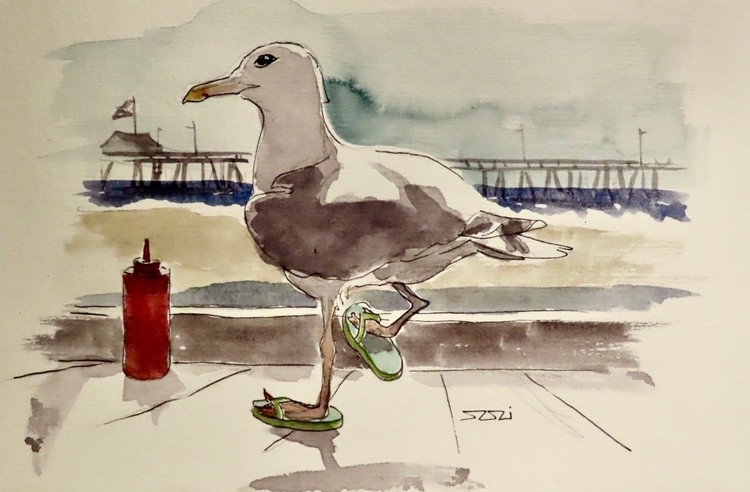 Gull in Thongs