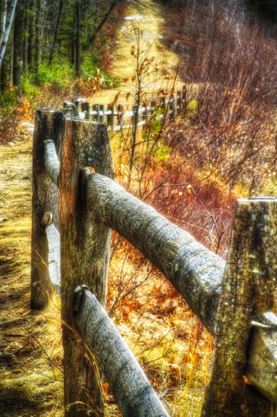 FenceAtTheQuabbin