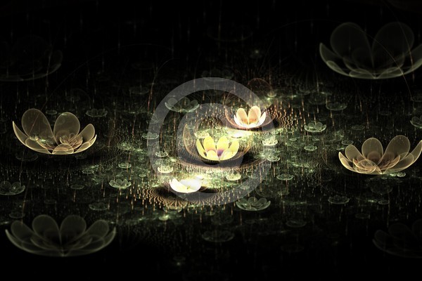 Night Flowers Abstract Fractal Design