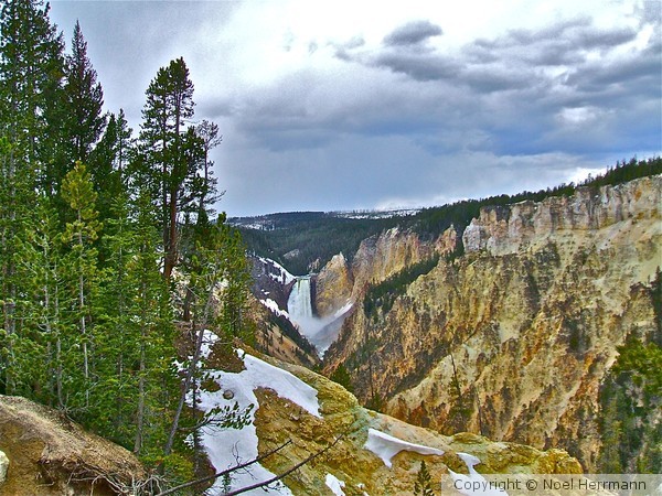 Yellowstone Falls May