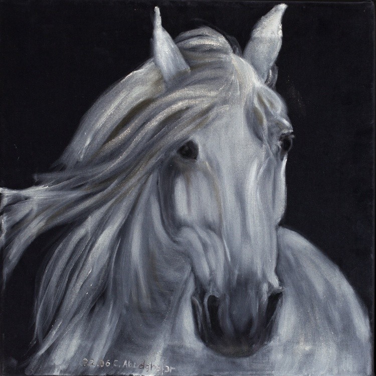 Horse portrait on black velvet
