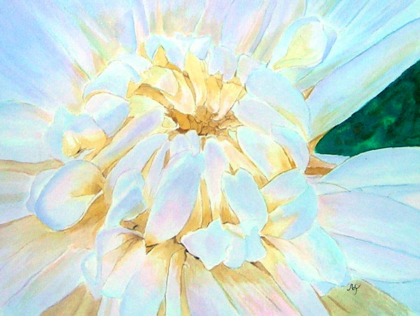 White Dahlia