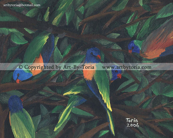 Rainbow Lorikeets