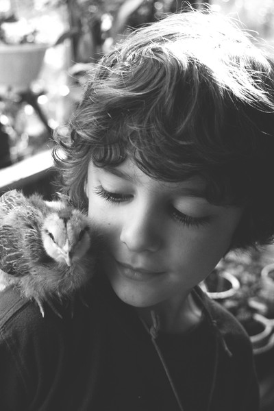 Young Boy with Chick