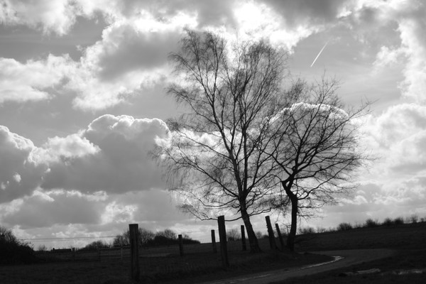 Cotton clouds