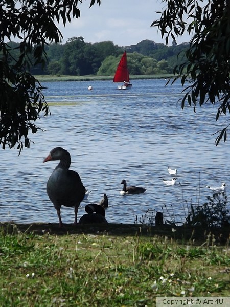 Hornsea Mere