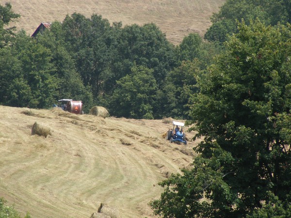 Putting up hay