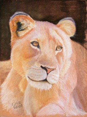 Lioness_on_Canson