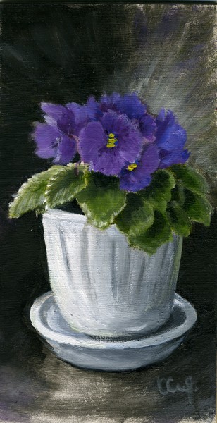 Still life with violet