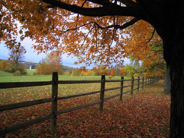 Autumn Vista, Virginia