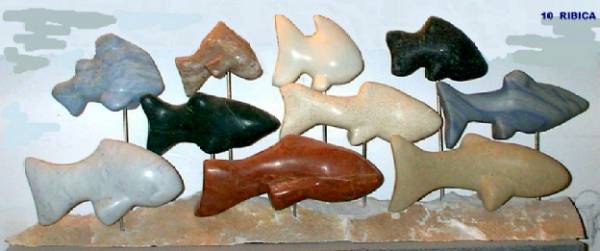stone fishes