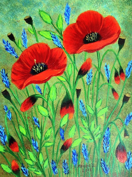 Poppies for you 