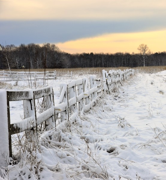 Winter's morn