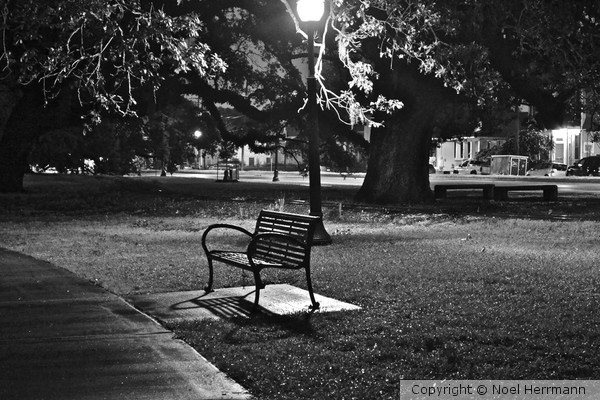 Park Bench at Night