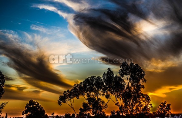 Curious Clouds